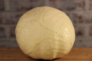 Large white Cabbage