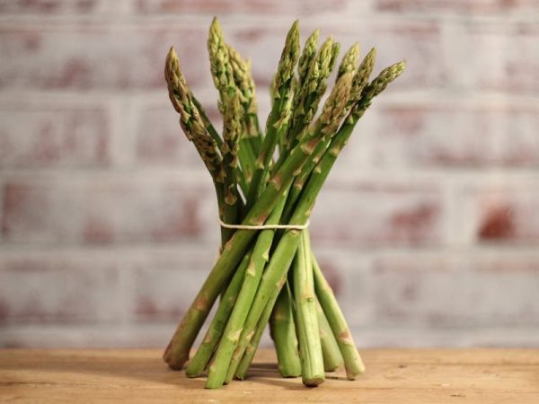 Asparagus English
