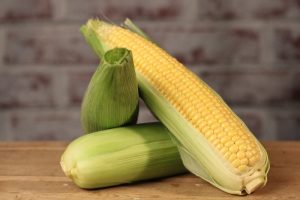 Fresh Sweet Corn Cobs