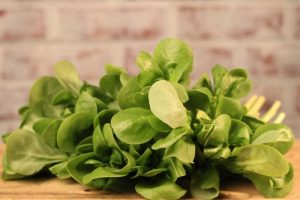 Cyprus Cress (Purslane)